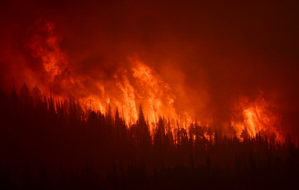 CREEDE, CO-June 27, 2013: Fire burns out of control at the Papoose Fire, June 27, 2013. The wildfire in southwestern Colorado continues to have potential for growth. (Photo By RJ Sangosti/The Denver Post via Getty Images)